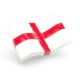 England (Profik)